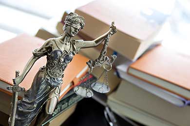 Civil litigation Lawyer